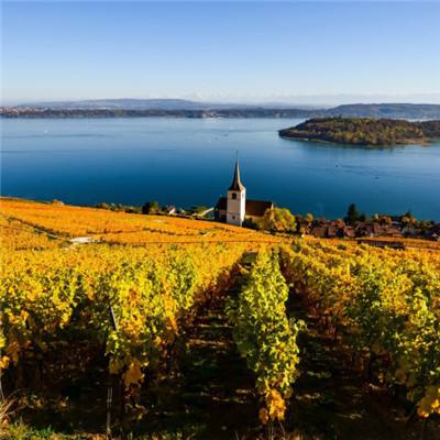 欧意app下载安装