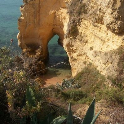 b体育在线登陆素描版