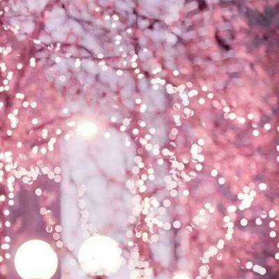 半岛综合app截图